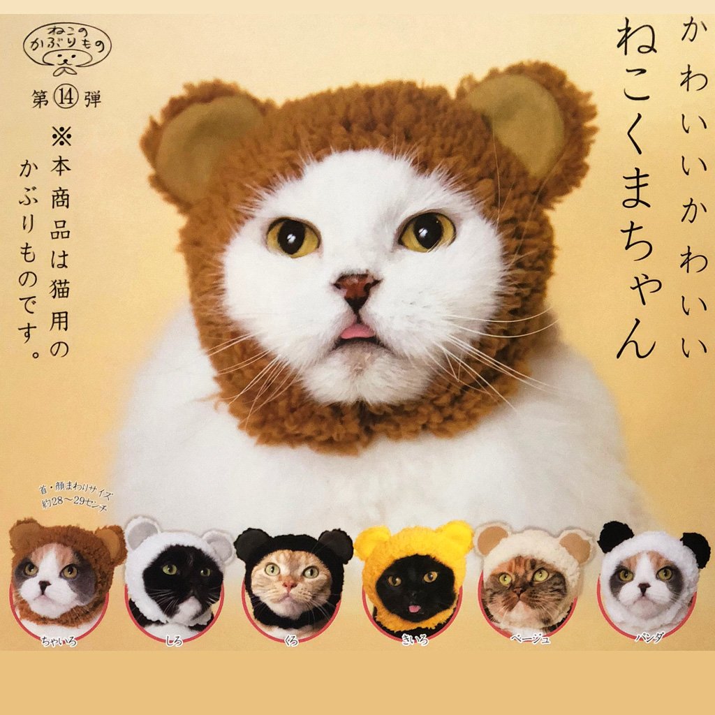 Kitan club outlet cat hat