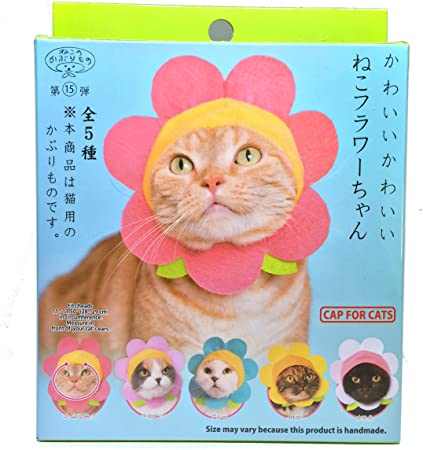 Kitan Club Flower Cat Cap Blind Box